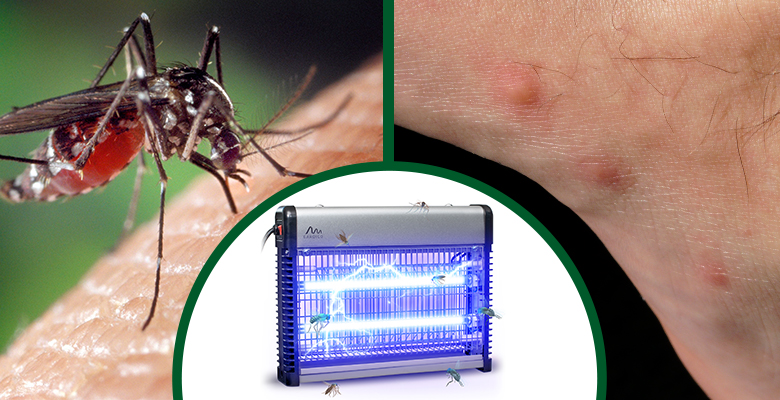 Auto Anti-Mücken Anti-fliegende Insekten Vorhang Kofferraum